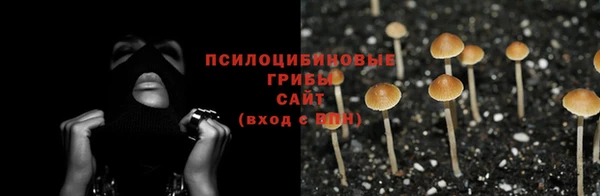 крисы Алзамай