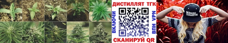 Дистиллят ТГК Wax  Арсеньев 