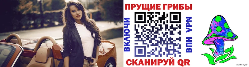 Галлюциногенные грибы мицелий  Арсеньев 