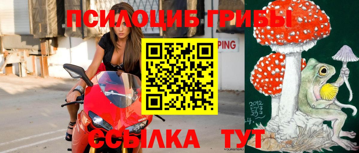 Галлюциногенные грибы MAGIC MUSHROOMS  Вход с VPN  Псилоцибиновые грибы Cubensis  Арсеньев 