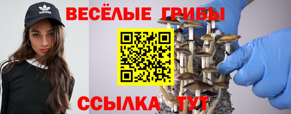Псилоцибиновые грибы Psilocybine cubensis Арсеньев